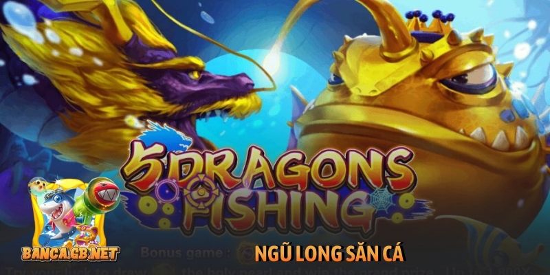 Ngũ Long săn cá