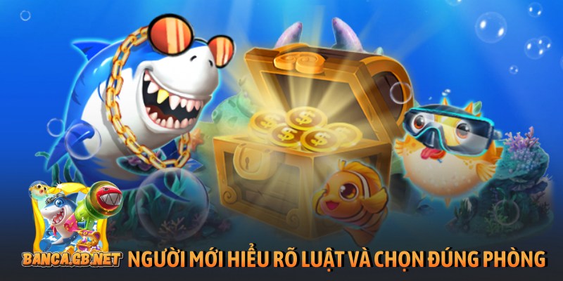 Người mới hiểu rõ luật và chọn đúng phòng